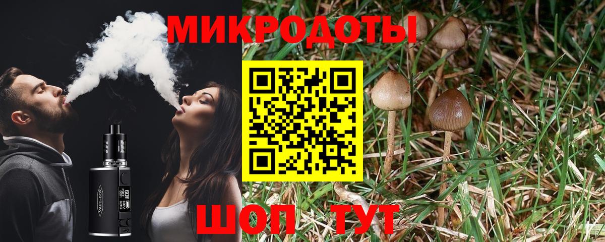 Клинцы  Псилоцибиновые грибы GOLDEN TEACHER  Вход с VPN 