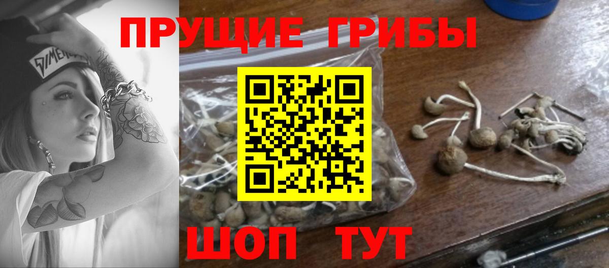 Псилоцибиновые грибы MAGIC MUSHROOMS Клинцы
